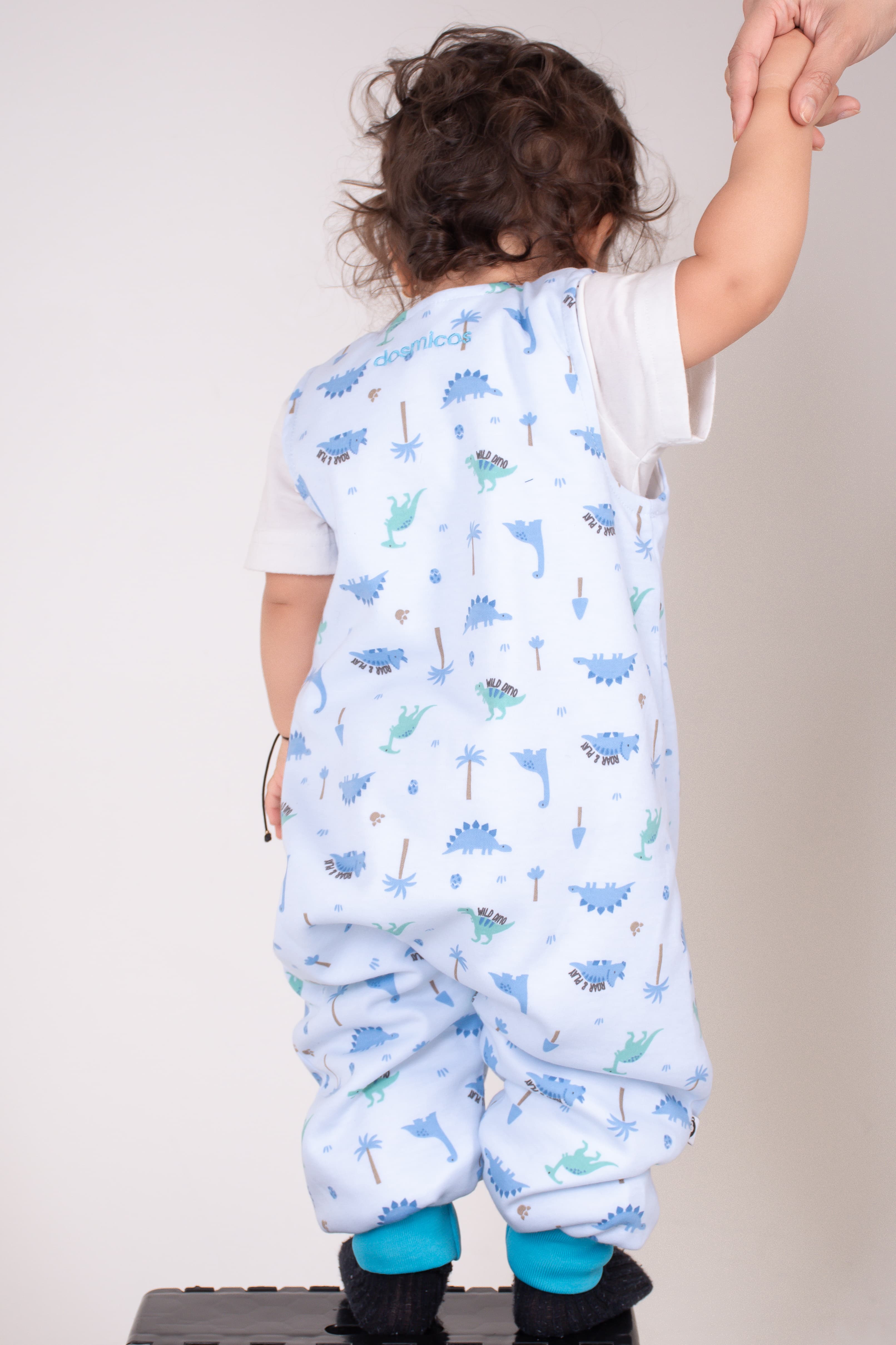 Sleeping Walker Dino play azul TOG 0.5