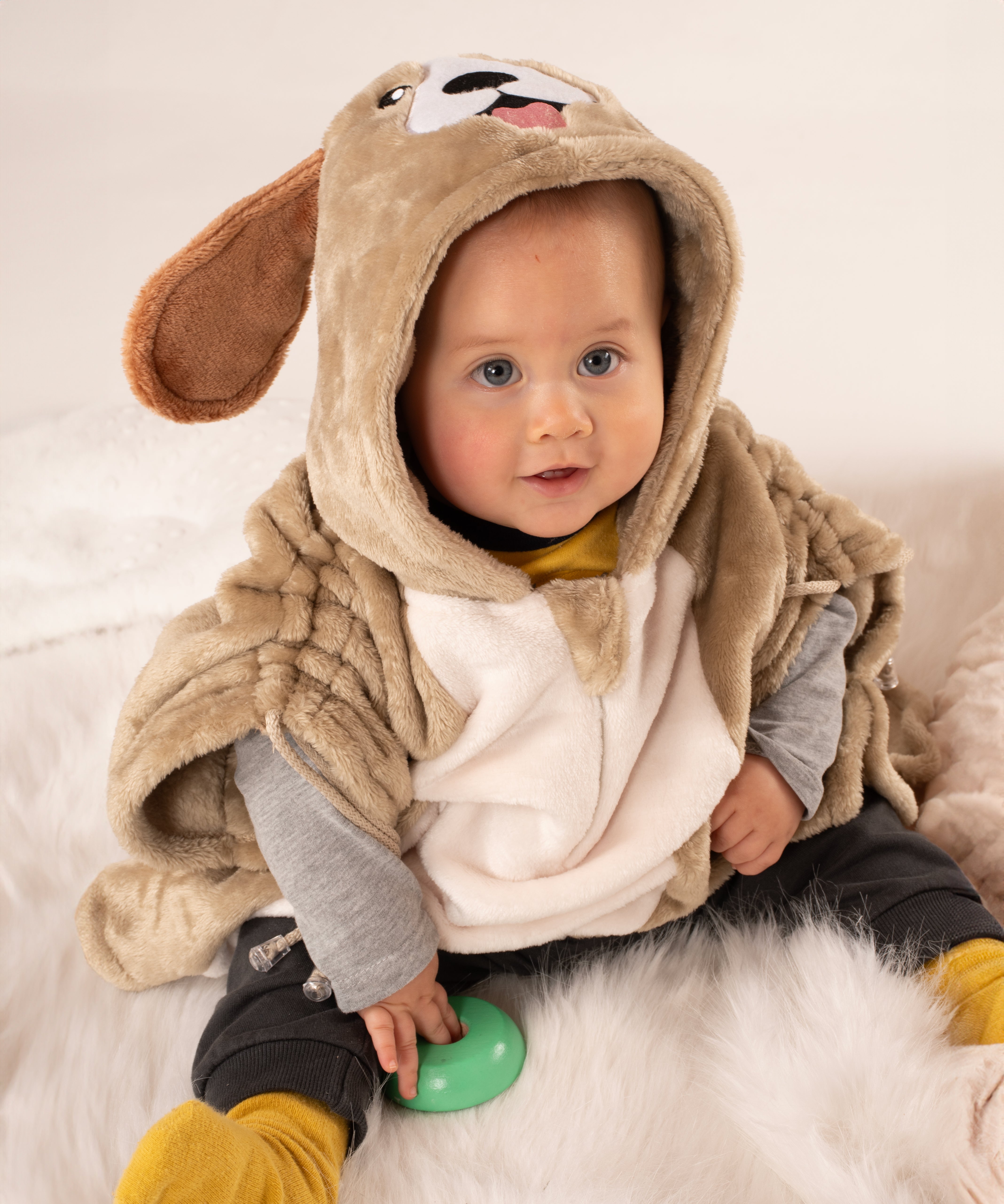 Ruana de Perrito Beagle