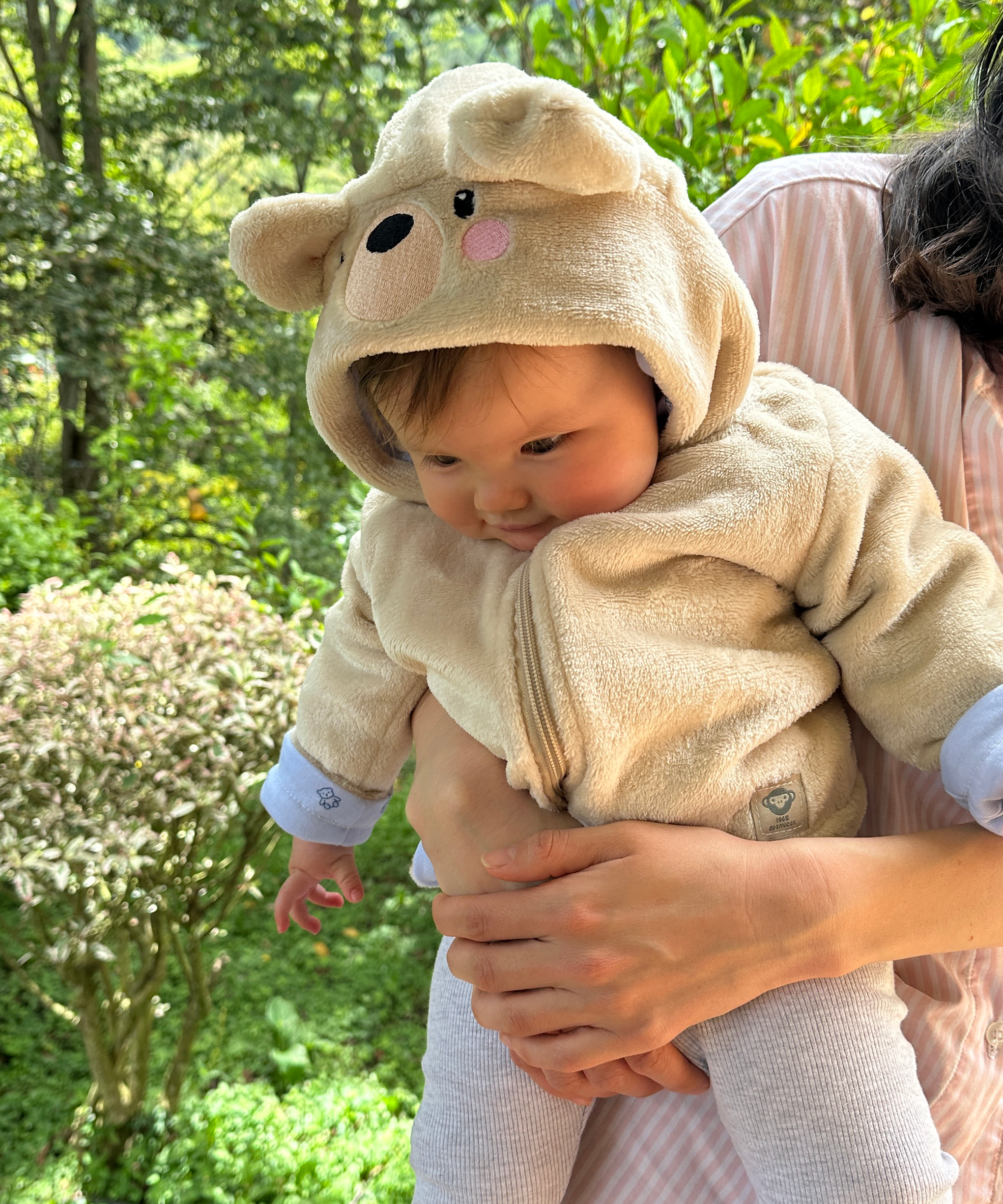 Chaqueta Osito Bebé