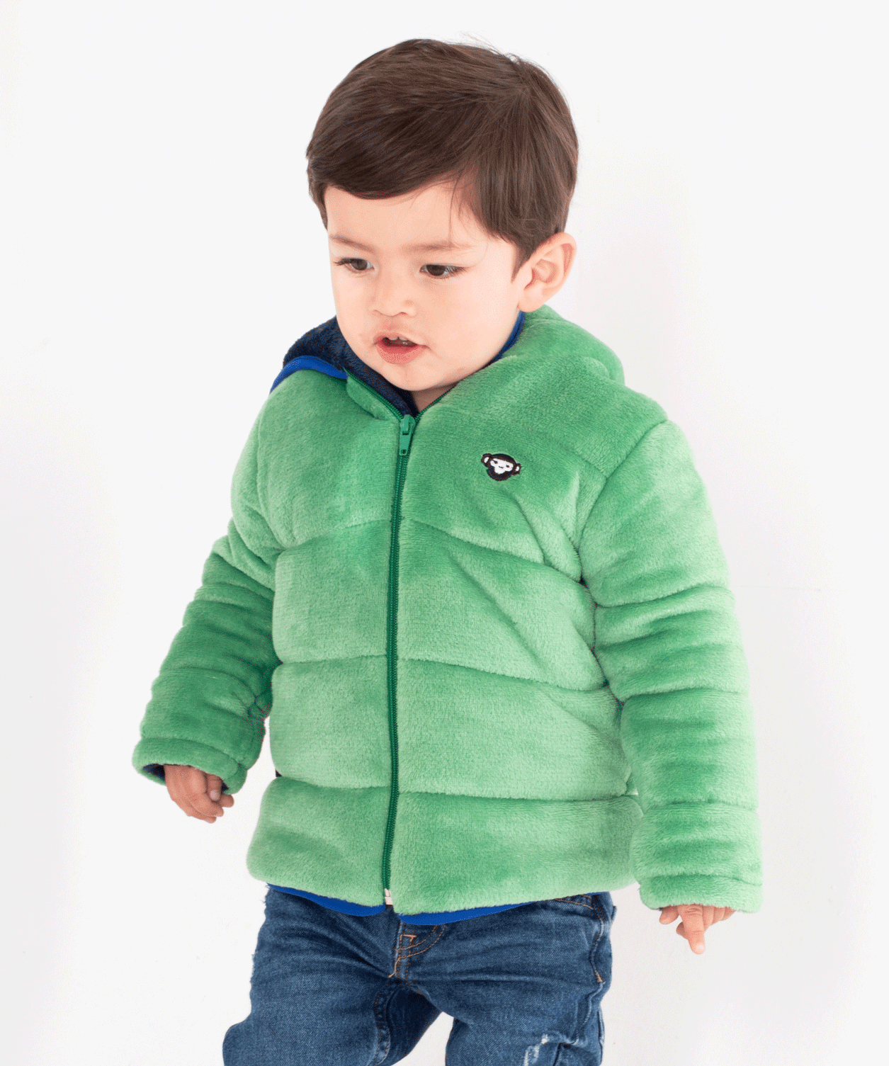 Chaqueta Dino Rex