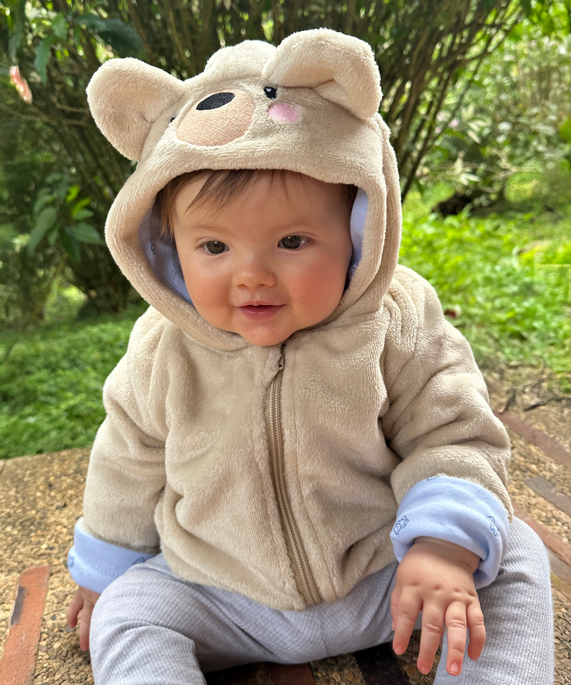 Chaqueta Osito Bebé